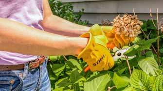 Hand Pruners