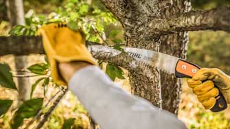 Hand Pruning Saws