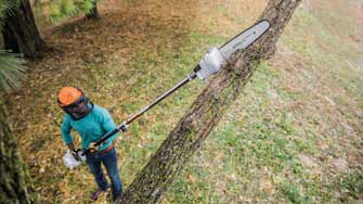 Pole Pruners