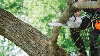 In-Tree Saws